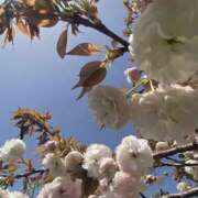 ヒメ日記 2025/09/06 11:17 投稿 えみ スピード日本橋店