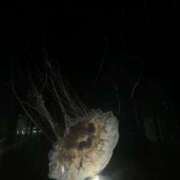 ヒメ日記 2025/09/27 11:17 投稿 えみ スピード日本橋店