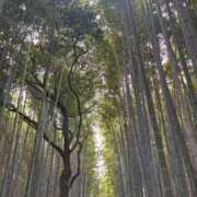 ヒメ日記 2025/10/17 11:07 投稿 えみ スピード日本橋店