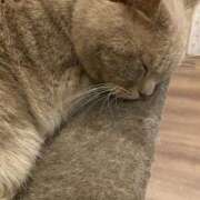 ヒメ日記 2025/11/12 10:27 投稿 えみ スピード日本橋店