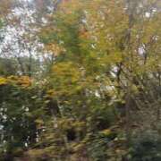 ヒメ日記 2025/11/30 10:37 投稿 えみ スピード日本橋店