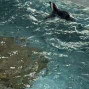 ヒメ日記 2025/12/16 11:17 投稿 えみ スピード日本橋店