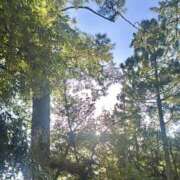 ヒメ日記 2025/12/27 10:57 投稿 えみ スピード日本橋店