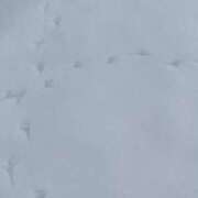 ヒメ日記 2026/01/18 20:07 投稿 えみ スピード日本橋店