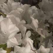 ヒメ日記 2026/01/25 11:27 投稿 えみ スピード日本橋店