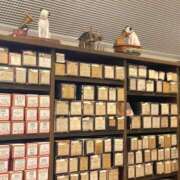 えみ えみ（スピード日本橋店） スピード日本橋店