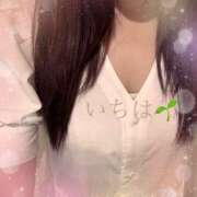 ヒメ日記 2025/05/26 17:48 投稿 一葉／いちは 五反田アネージュ（ユメオト）