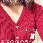 ヒメ日記 2025/06/24 15:36 投稿 一葉／いちは 五反田アネージュ（ユメオト）