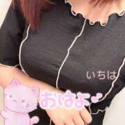 ヒメ日記 2025/07/20 09:59 投稿 一葉／いちは 五反田アネージュ（ユメオト）