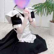 ヒメ日記 2025/05/25 19:13 投稿 おとめ 千葉メイドリーム（ユメオト）