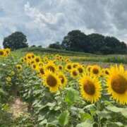 ヒメ日記 2025/05/19 09:23 投稿 みなと☆業界未経験綺麗系 大崎・古川 デリヘル 激安王