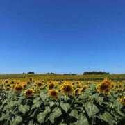 ヒメ日記 2025/05/22 22:13 投稿 みなと☆業界未経験綺麗系 大崎・古川 デリヘル 激安王