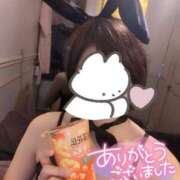 ヒメ日記 2025/05/20 21:07 投稿 サイカ♡業界未経験美バニー降臨♡ ドMなバニーちゃん 名古屋・池下店