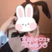 ヒメ日記 2025/05/20 21:47 投稿 サイカ♡業界未経験美バニー降臨♡ ドMなバニーちゃん 名古屋・池下店