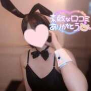 ヒメ日記 2025/05/20 22:07 投稿 サイカ♡業界未経験美バニー降臨♡ ドMなバニーちゃん 名古屋・池下店