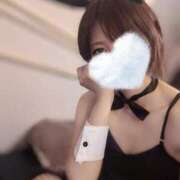 ヒメ日記 2025/05/23 23:27 投稿 サイカ♡業界未経験美バニー降臨♡ ドMなバニーちゃん 名古屋・池下店