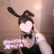 ヒメ日記 2025/05/26 06:27 投稿 サイカ♡業界未経験美バニー降臨♡ ドMなバニーちゃん 名古屋・池下店