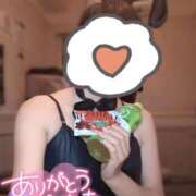 ヒメ日記 2025/06/13 22:57 投稿 サイカ♡業界未経験美バニー降臨♡ ドMなバニーちゃん 名古屋・池下店