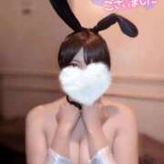 ヒメ日記 2025/06/29 23:07 投稿 サイカ♡業界未経験美バニー降臨♡ ドMなバニーちゃん 名古屋・池下店