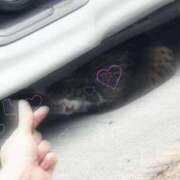 ヒメ日記 2026/06/30 15:48 投稿 えみな 京都BOOK MARK（ブックマーク）