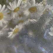 ヒメ日記 2025/09/15 10:10 投稿 ひまり かりんと池袋