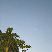 ヒメ日記 2025/10/19 12:33 投稿 ひまり かりんと池袋