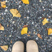 ヒメ日記 2025/10/30 05:53 投稿 ひまり かりんと池袋