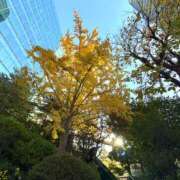 ヒメ日記 2025/11/29 16:22 投稿 ひまり かりんと池袋