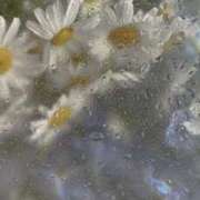 ヒメ日記 2025/12/21 11:35 投稿 ひまり かりんと池袋