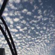 ヒメ日記 2026/01/15 21:58 投稿 ひまり かりんと池袋