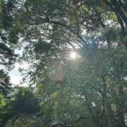 ヒメ日記 2025/10/22 12:57 投稿 大桃　みゆな エテルナ京都