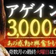 ヒメ日記 2026/03/31 19:02 投稿 大桃　みゆな エテルナ京都