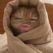 ヒメ日記 2025/08/13 21:32 投稿 のどか ときめき純情ロリ学園～東京乙女組 新宿校