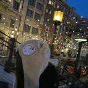 ヒメ日記 2025/08/21 22:47 投稿 のどか ときめき純情ロリ学園～東京乙女組 新宿校