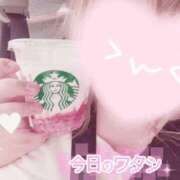 ヒメ日記 2025/05/17 17:25 投稿 あこ【業界未経験】 茨城水戸ちゃんこ