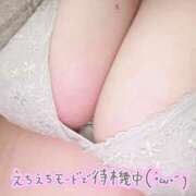 ヒメ日記 2025/05/19 15:25 投稿 あこ【業界未経験】 茨城水戸ちゃんこ