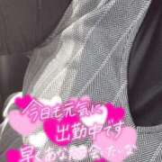 ヒメ日記 2025/05/20 14:05 投稿 あこ【業界未経験】 茨城水戸ちゃんこ