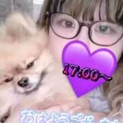 ヒメ日記 2025/09/20 14:18 投稿 あこ【業界未経験】 茨城水戸ちゃんこ