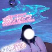 ヒメ日記 2026/01/26 19:55 投稿 あこ【業界未経験】 茨城水戸ちゃんこ