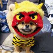 ヒメ日記 2026/01/28 19:25 投稿 あこ【業界未経験】 茨城水戸ちゃんこ