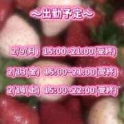 ヒメ日記 2026/02/08 17:05 投稿 あこ【業界未経験】 茨城水戸ちゃんこ