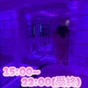 ヒメ日記 2026/02/14 12:25 投稿 あこ【業界未経験】 茨城水戸ちゃんこ