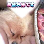 ヒメ日記 2026/02/24 21:35 投稿 あこ【業界未経験】 茨城水戸ちゃんこ