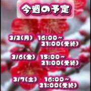 ヒメ日記 2026/03/01 23:35 投稿 あこ【業界未経験】 茨城水戸ちゃんこ