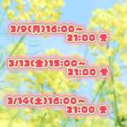 ヒメ日記 2026/03/08 11:25 投稿 あこ【業界未経験】 茨城水戸ちゃんこ