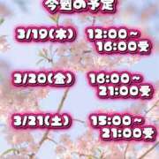 ヒメ日記 2026/03/17 21:25 投稿 あこ【業界未経験】 茨城水戸ちゃんこ