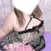 ヒメ日記 2026/03/19 19:55 投稿 あこ【業界未経験】 茨城水戸ちゃんこ
