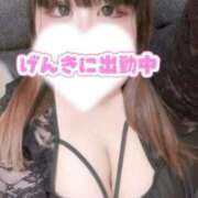 ヒメ日記 2026/04/03 15:35 投稿 あこ【業界未経験】 茨城水戸ちゃんこ