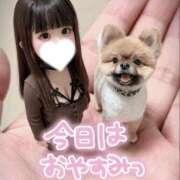 ヒメ日記 2026/04/05 14:55 投稿 あこ【業界未経験】 茨城水戸ちゃんこ