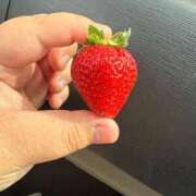 ヒメ日記 2026/04/15 09:35 投稿 あこ【業界未経験】 茨城水戸ちゃんこ